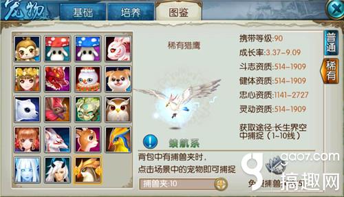 诛仙手游稀有猎鹰技能选择搭配推荐 诛仙手游稀有猎鹰技能选择搭配推荐