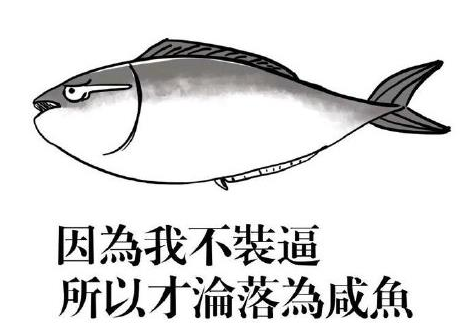 人没有梦想和咸鱼有什么区别《终结者2:审判日》终极追梦指南