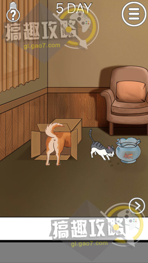 找猫攻略