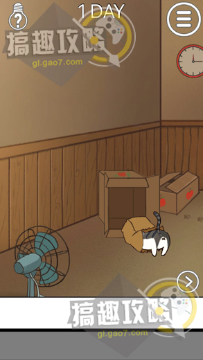 找猫攻略